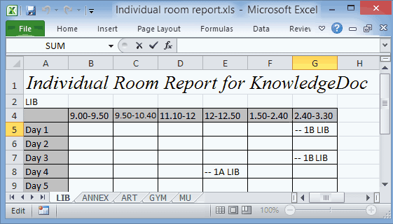 Excel (Individual room report)
