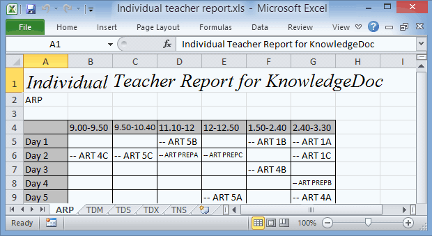 Excel (Individual teacher report)