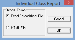 Individual Class Report (Excel Spreadsheet file