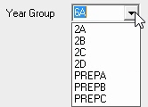 Schedule (Year group, drop down list, cut down)