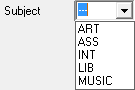 Year Group Allocation (Subject code, drop down list, cut down).gif
