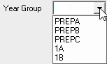 Year Group Allocation (Year group, drop down list, cut down)