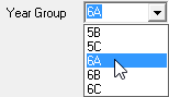 Year Group Allocation (Year group, representative, cut down)