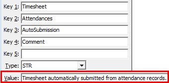 Configuration File Maintenance - AutoSubmission Comment