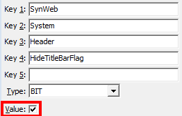 Configuration File Maintenance - Synweb HideTitleBarFlag
