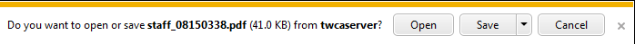 File Download window