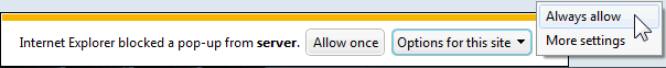 Internet Explorer blocked a pop-up from <your server>
