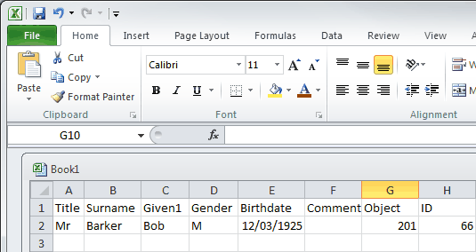 Microsoft Excel (accommodation booking guest list)