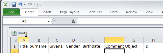 Microsoft Excel (accommodation booking guest list header row, cut down)