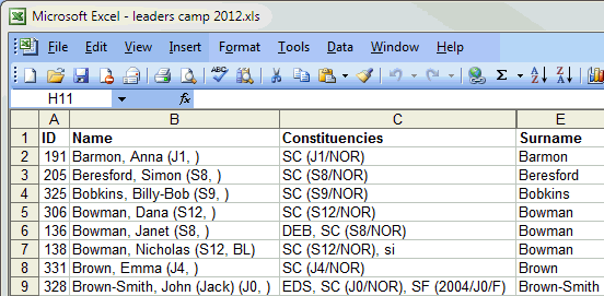 Microsoft Excel (leaders camp 2012)