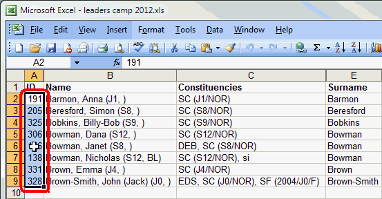 Microsoft Excel (leaders camp 2012, selected Synergetic IDs)
