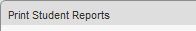 Print Student Reports (Synweb, title bar only)