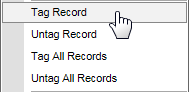 Right click menu (cut down, select Tag Record)