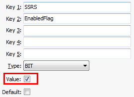 SSRS EnabledFlag configuration setting