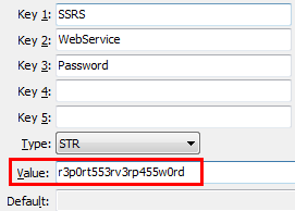 SSRS WebService Password configuration setting