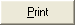 Print button
