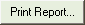 Print Report... button