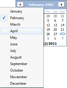 Using the graphical calendar