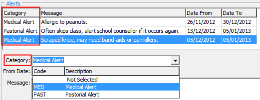 Current Student Maintenance - Alerts tab (Cutdown, Category highlighted)