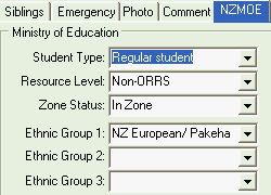 Current Student Maintenance - NZMOE tab (cut down)