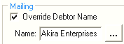 Debtor Maintenance - Debtor tab (Override Debtor Name and Name fields)