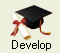 Develop icon