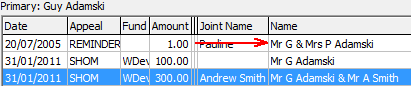 Development Maintenance - Pledges tab (cut down, Name field)