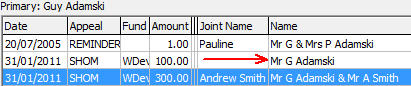 Development Maintenance - Pledges tab (cut down, Name field)