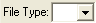 File Type field