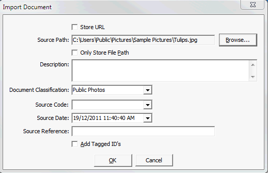 Import Document window