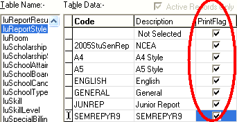 Lookup Table Maintenance (luReportStyle, select print flags)