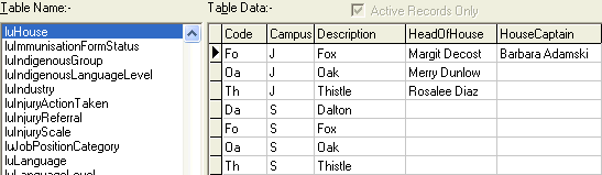 Lookup Table Maintenance - luHouse