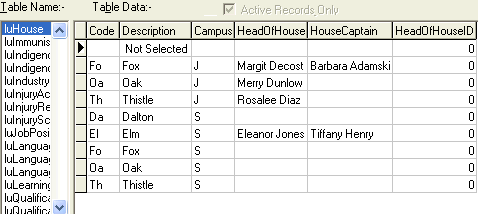 lookup table maintenance - luHouse