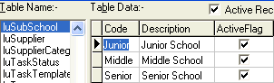 Lookup Table Maintenance - luSubSchool