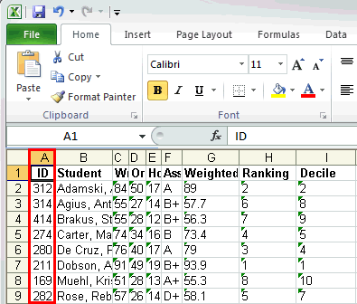 Microsoft Excel (export student results)