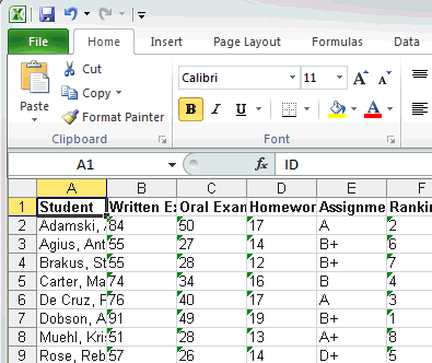 Microsoft Excel (export student results)