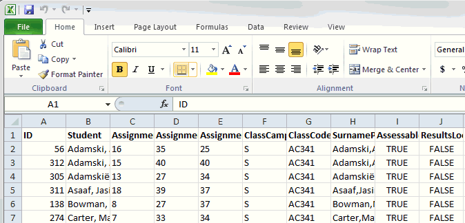 Microsoft Excel (export student results)