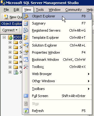 Select View > Object Explorer