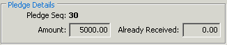New Pledge Receipt window (Pledge Details fields)