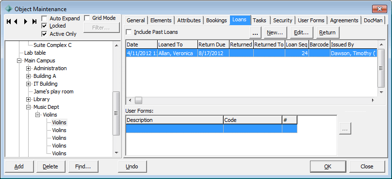 Object Maintenance - Loans tab