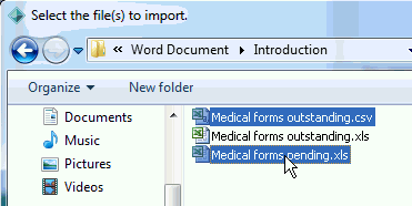 Select the file(s) to import window