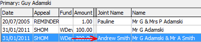 Development Maintenance - Pledges tab (cut down, Joint Name field)