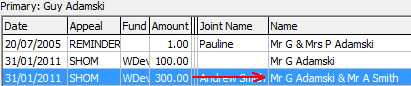 Development Maintenance - Pledges tab (cut down, Name field)