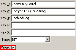 Configuration File Maintenance - TokenEncryptURLEnabledFlag setting (value cutdown, portal)