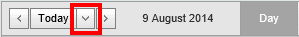 Calendar schedule button (synweb, wn66)