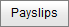 Payslips button (synweb)