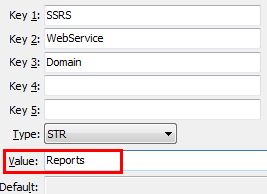 SSRS WebService Domain configuration setting