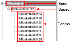 SubjectClassCategory Sport Levels (synweb example)