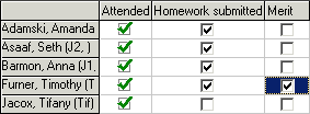 attendance window - example of user-defined fields
