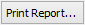 Print Report... button